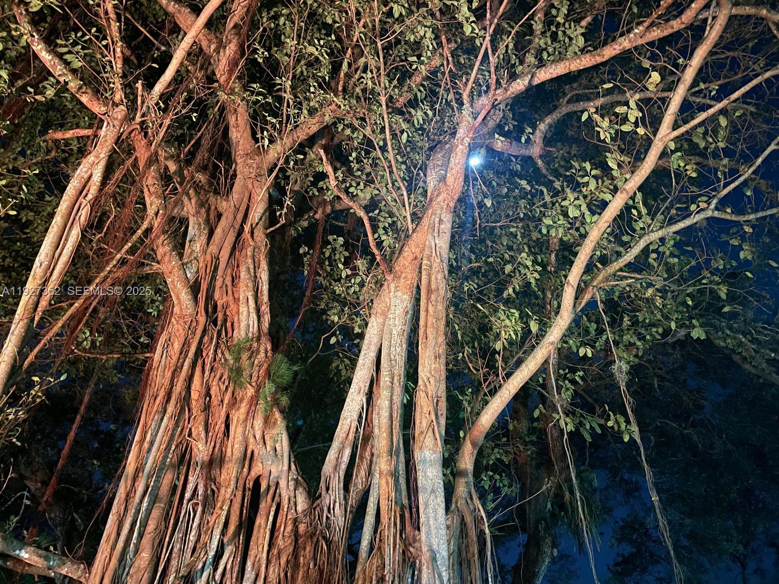 601 Ives Dairy Road, Unit 4038 Miami, FL 33179 - Photo 48 of 49