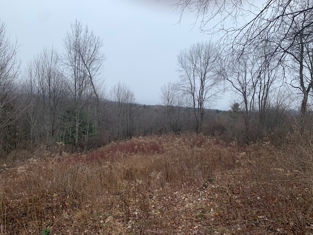 0 Matteson Road North Bennington, VT 05257 - Photo 8 of 18