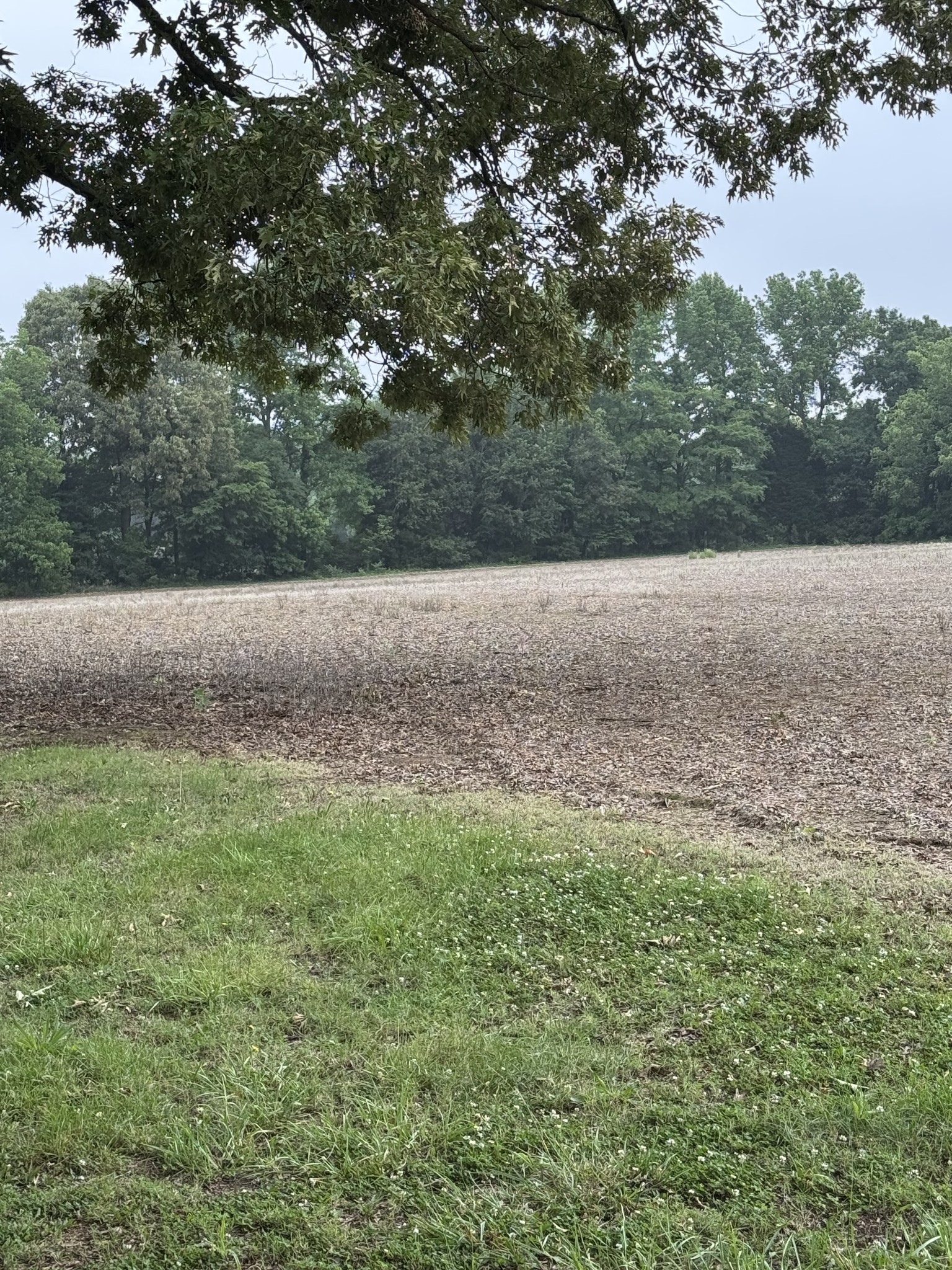 325 Harts Mill Road Atwood, TN 38220 - Photo 15 of 44
