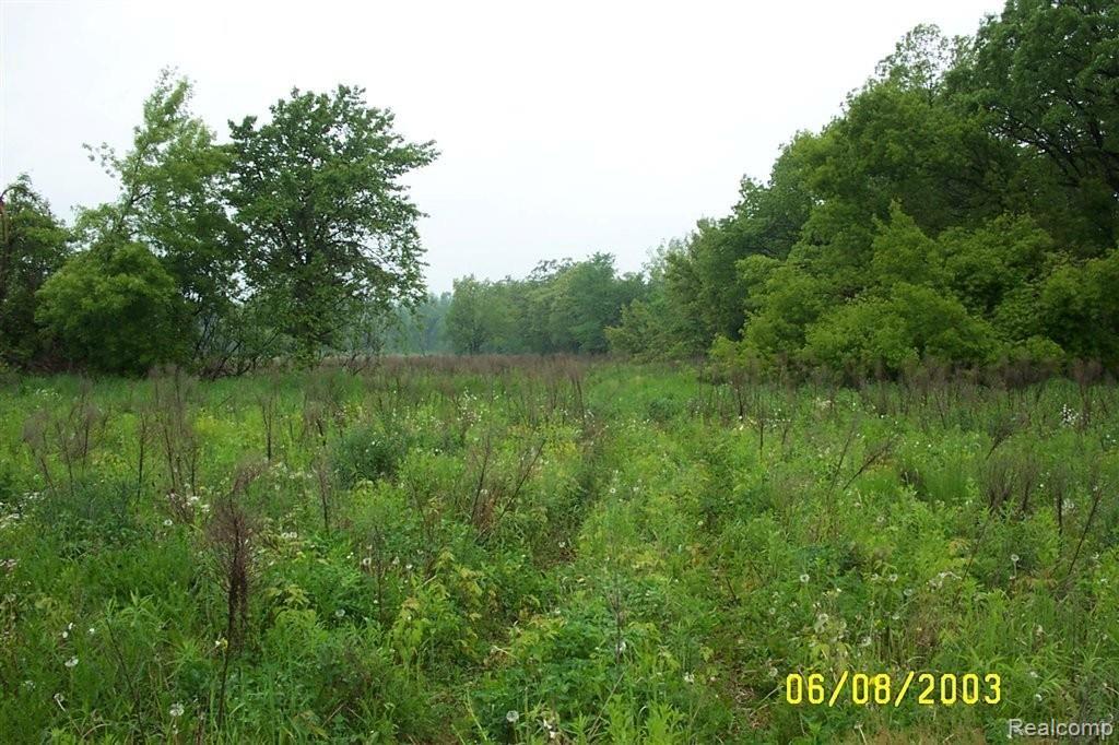 Vac East Leonard Road Leonard, MI 48367 - Photo 3 of 10 E. Leonard - Summer
