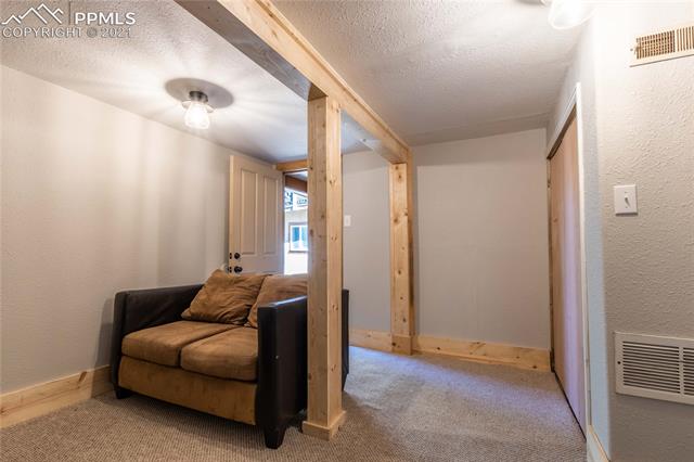 12 Cherokee Road Manitou Springs, CO 80829 - Photo 16 of 22 Lower Level with pine trim