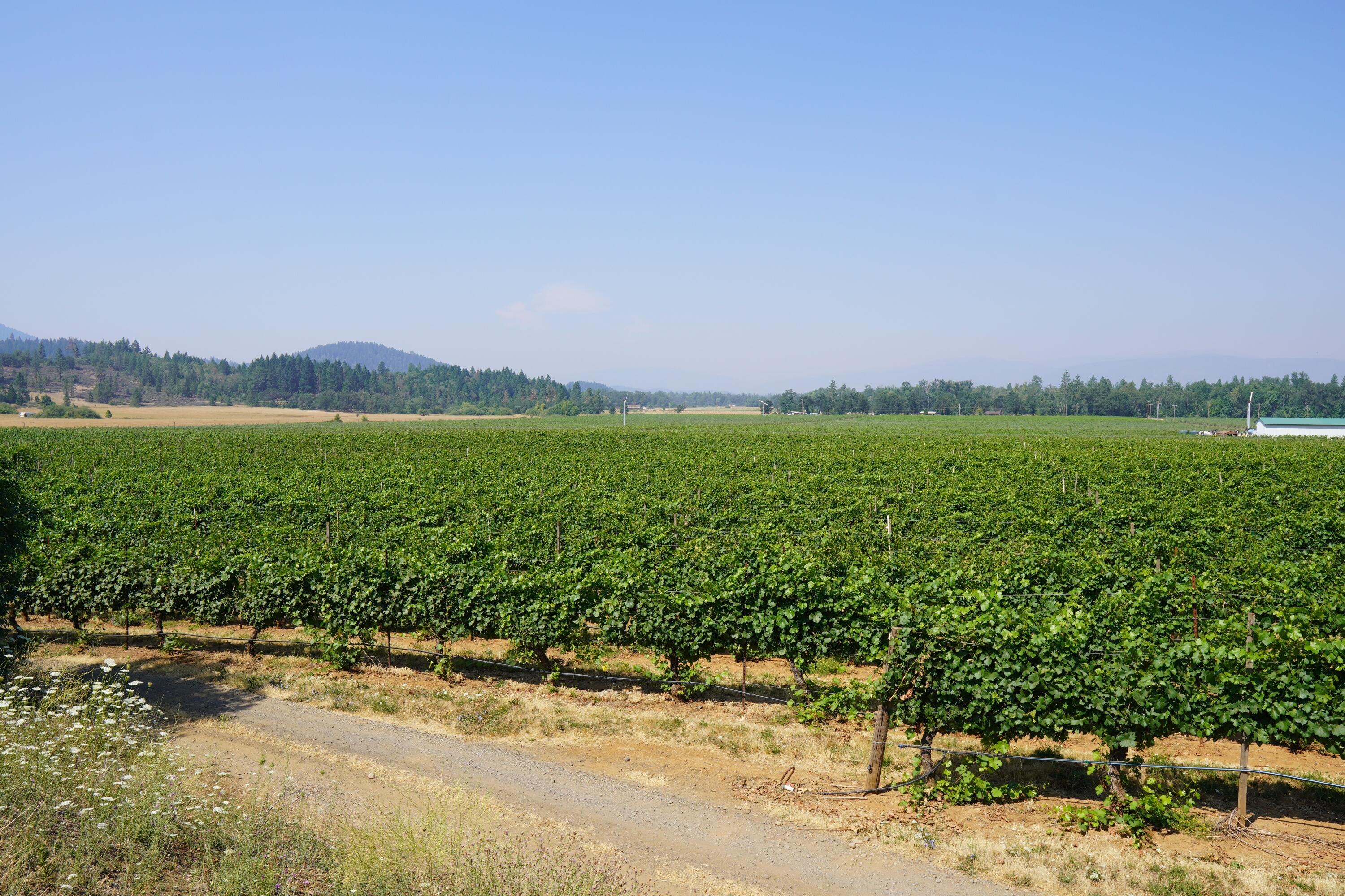 7821 Holland Loop Road Cave Junction, OR 97523 - Photo 25 of 41 Gallery Image 25