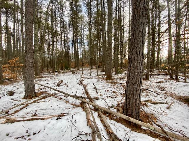 0 Goodwin Road West Newfield, ME 04095 - Photo 11 of 13 IMG_1319