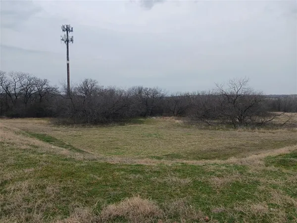a view of a field of grass and trees