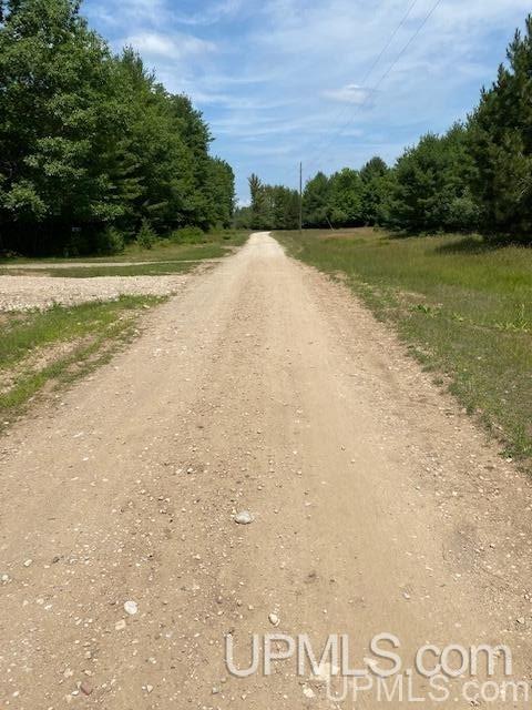 7752 R.75 Lane Rapid River, MI 49878 - Photo 9 of 9