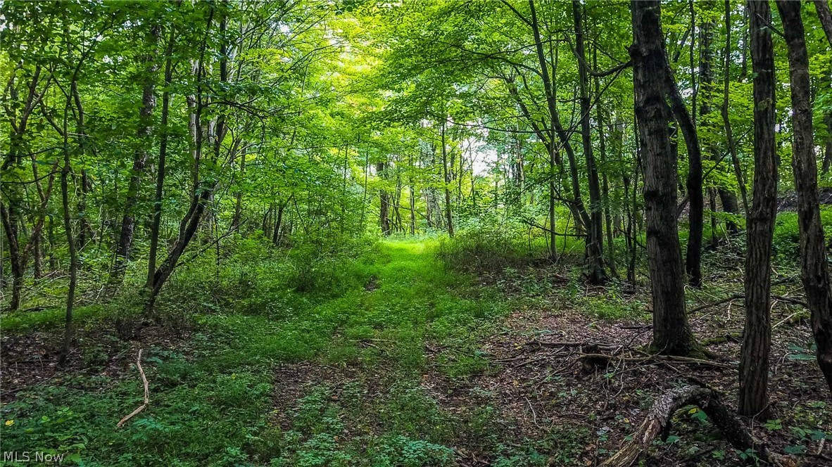 Dundee Wilmot Rd Rd Beach Beach City, OH 44608 - Photo 12 of 35 Gallery Image 12