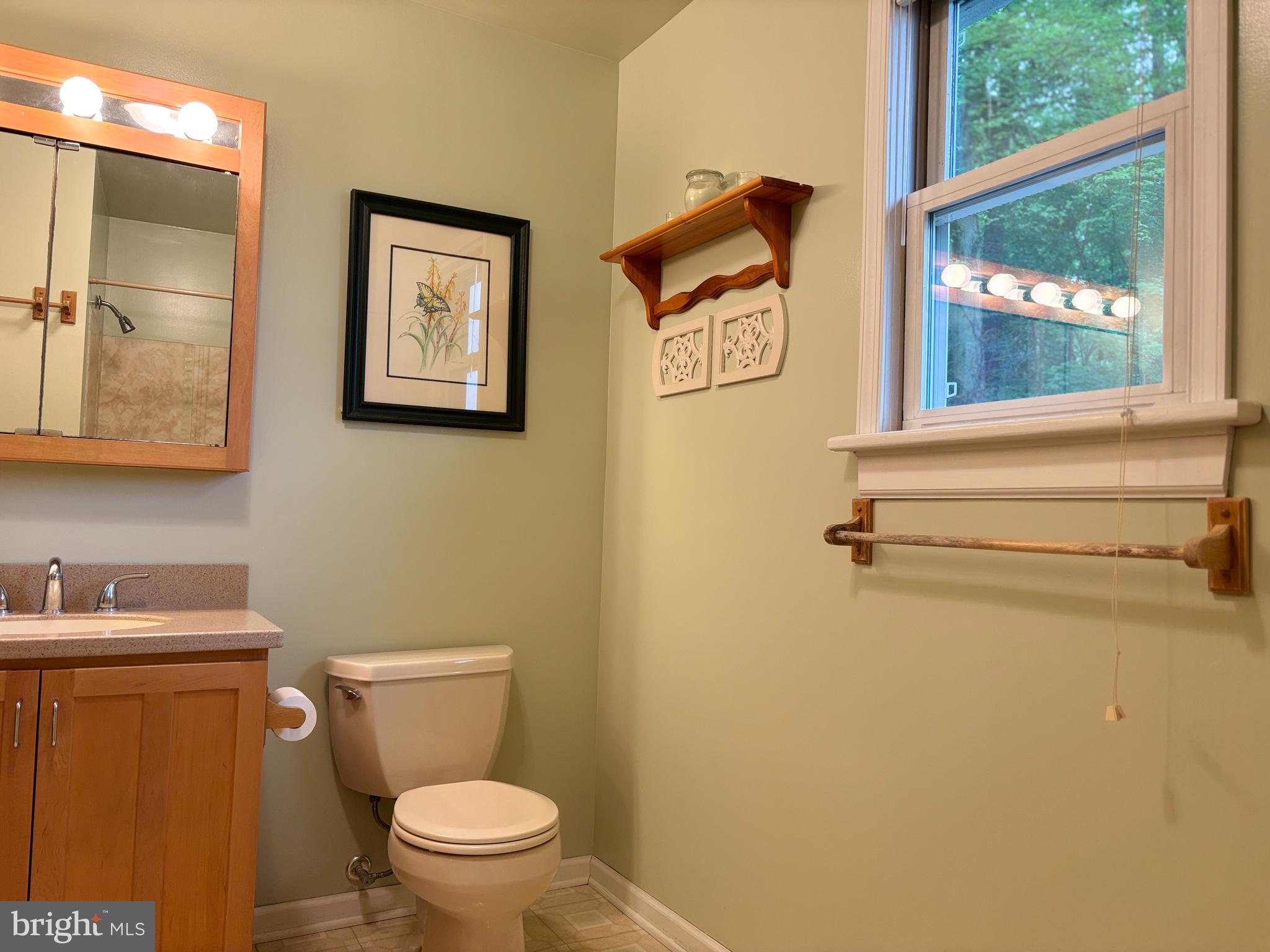 385 Kendig Road Conestoga, PA 17516 - Photo 90 of 101 a bathroom with a toilet and a sink