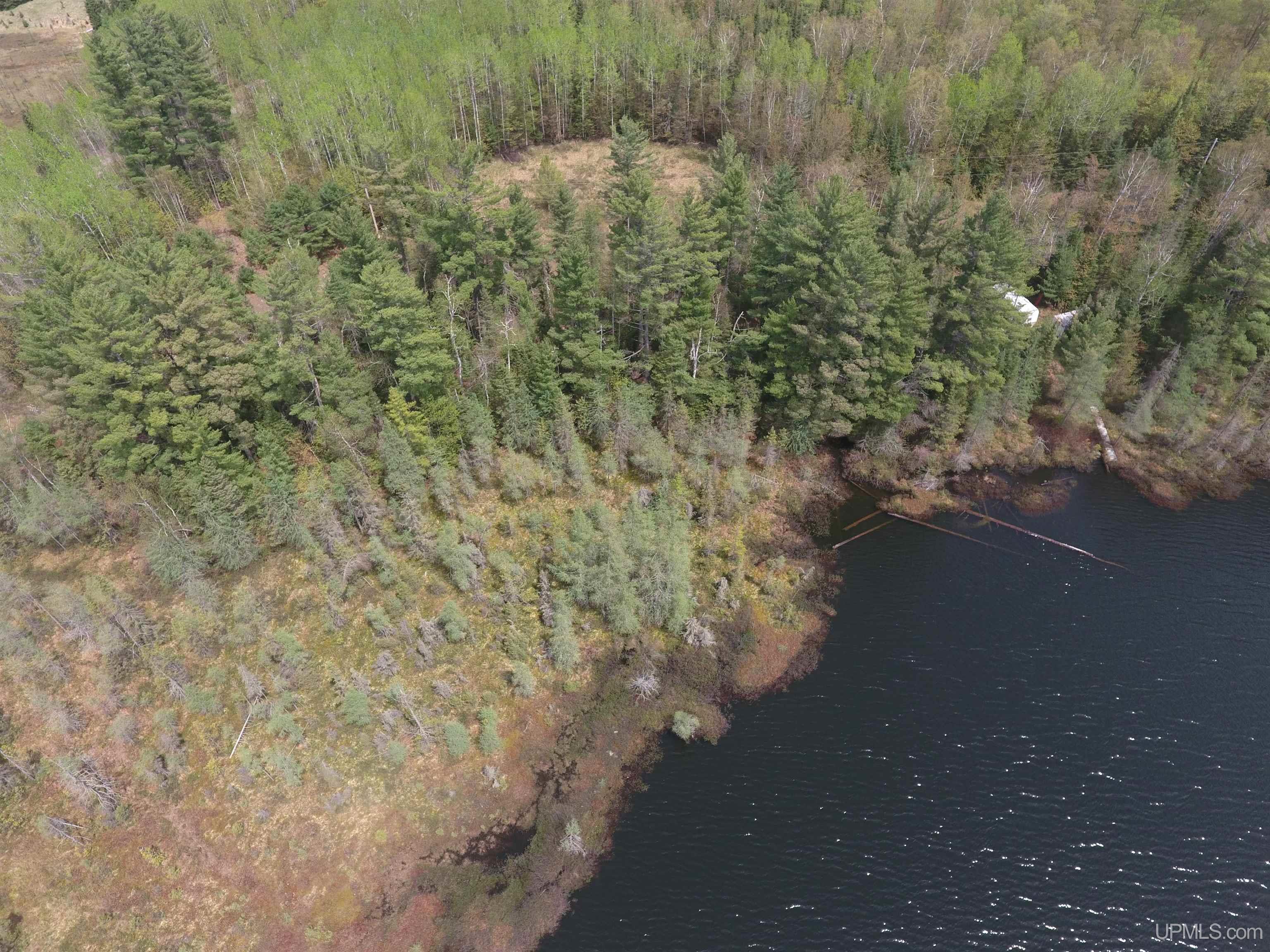 22004 South Olson Lake Road Michigamme, MI 49861 - Photo 7 of 14
