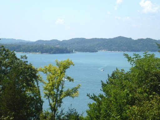 3500 Caywood Road Dandridge, TN 37725 - Photo 27 of 28 Additional Photo