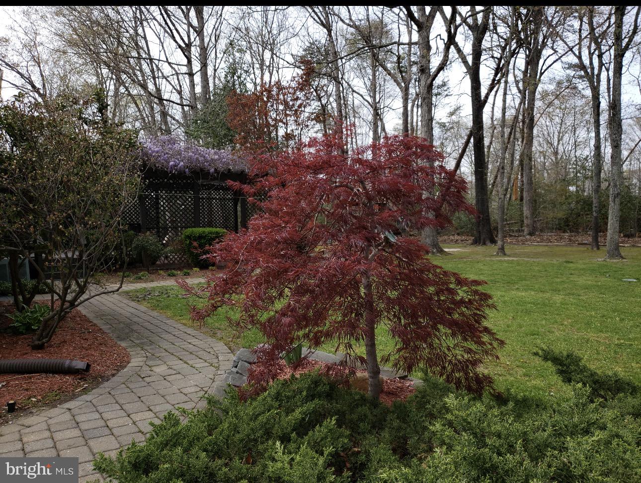 11460 La Plata Road La Plata, MD 20646 - Photo 33 of 51 a backyard of a house with lots of green space