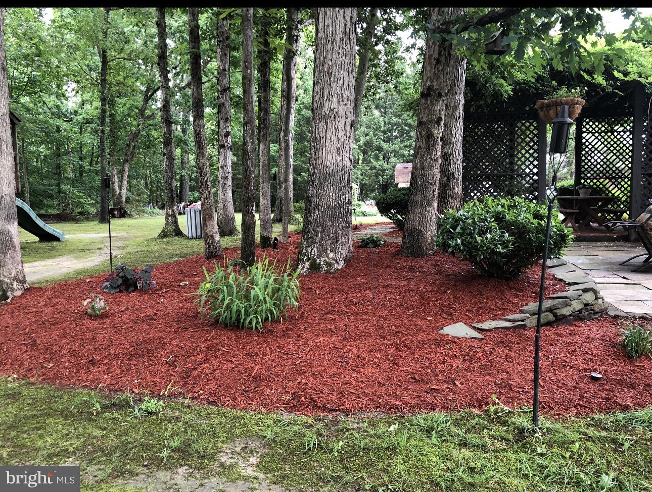 11460 La Plata Road La Plata, MD 20646 - Photo 40 of 51 a view of a backyard with large tree