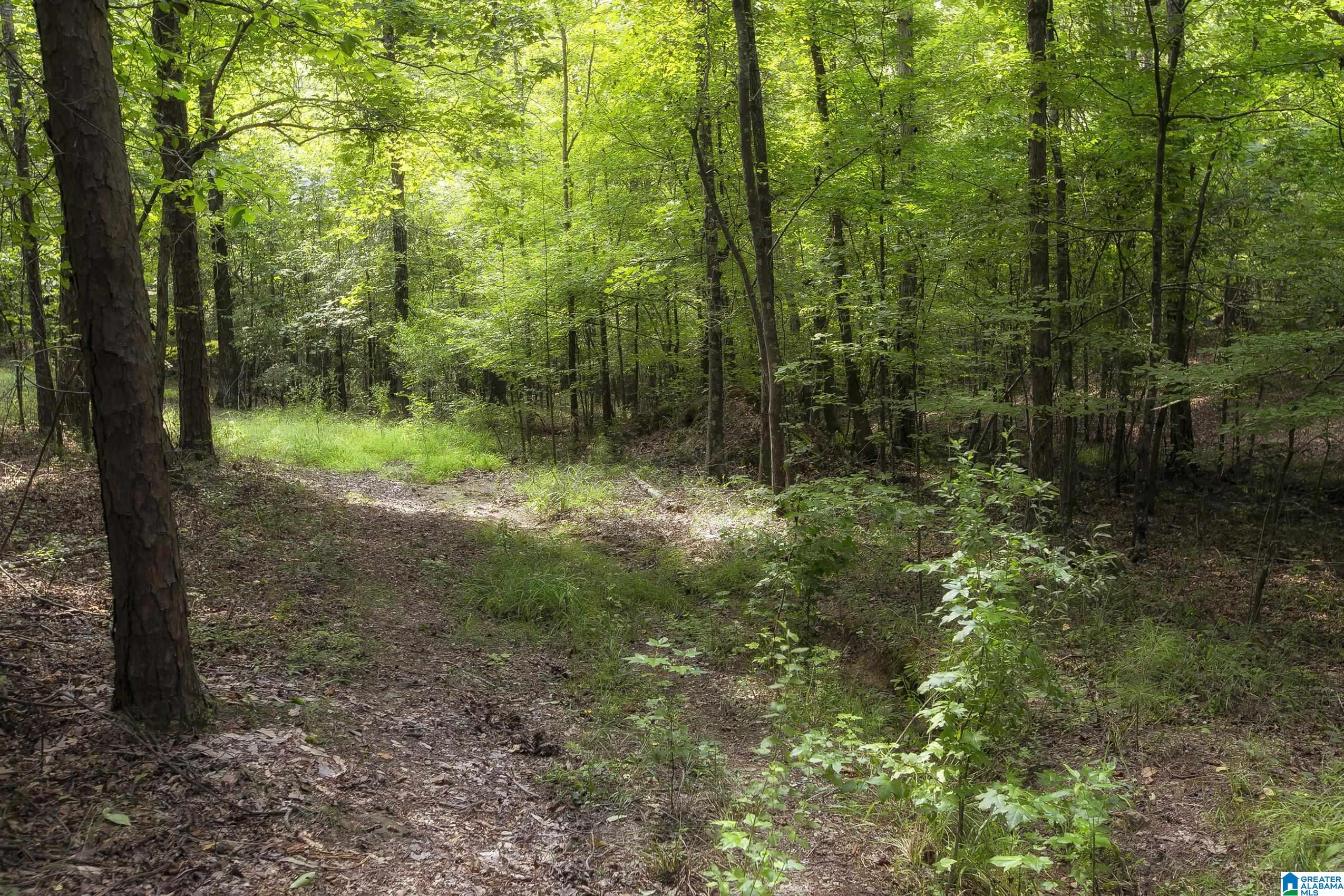 8532 Shady Trail, Unit 401 Helena, AL 35022 - Photo 4 of 25