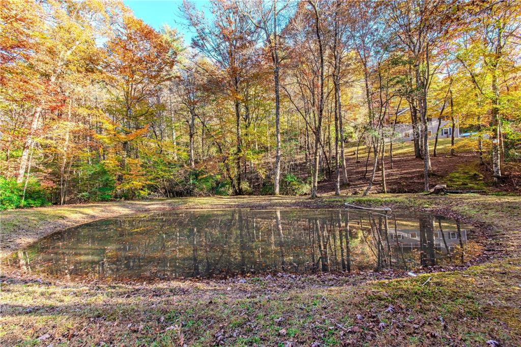 339 Wehunt Road Epworth, GA 30541 - Photo 41 of 83