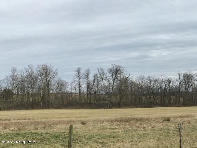0 Salt River Road Rineyville, KY 40162 - Photo 4 of 5 IMG_2220 (002)