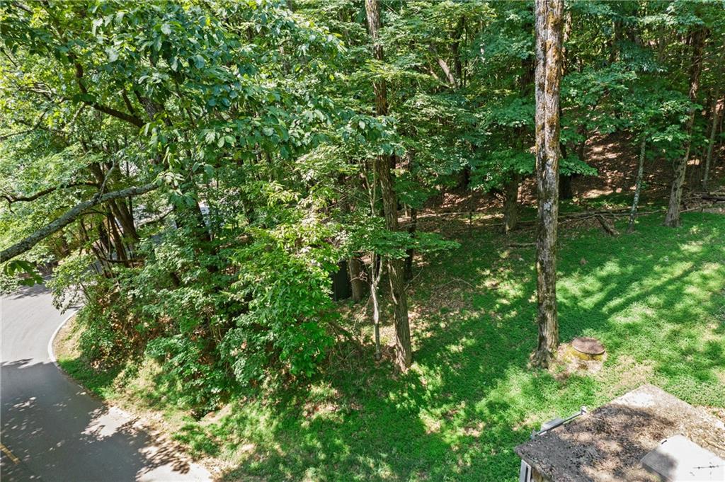 37 Petit Ridge Drive Big Canoe, GA 30143 - Photo 12 of 28