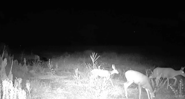 $1,349,000 | 18320 Falcon Highway, Peyton, CO 80831