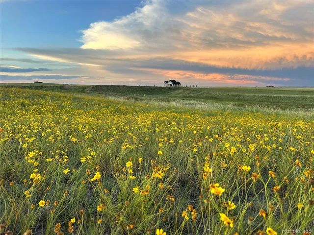 $1,349,000 | 18320 Falcon Highway, Peyton, CO 80831