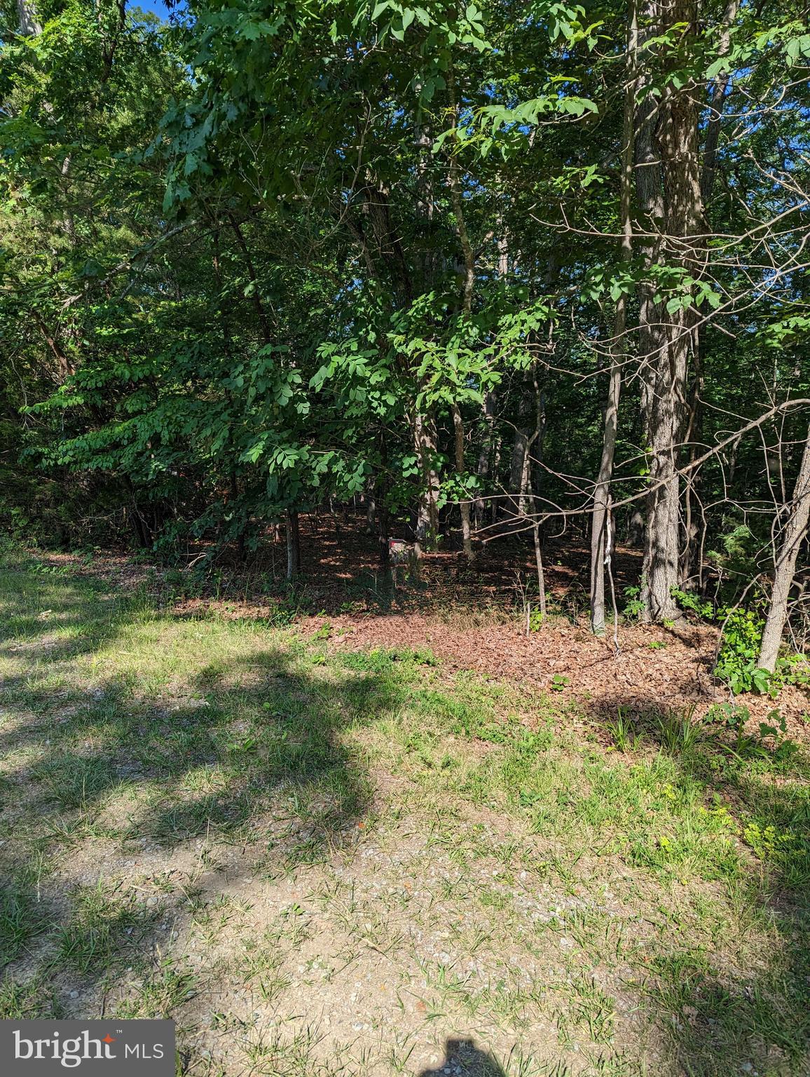 Ash Road Front Royal, VA 22630 - Photo 1 of 1 Gallery Image 1
