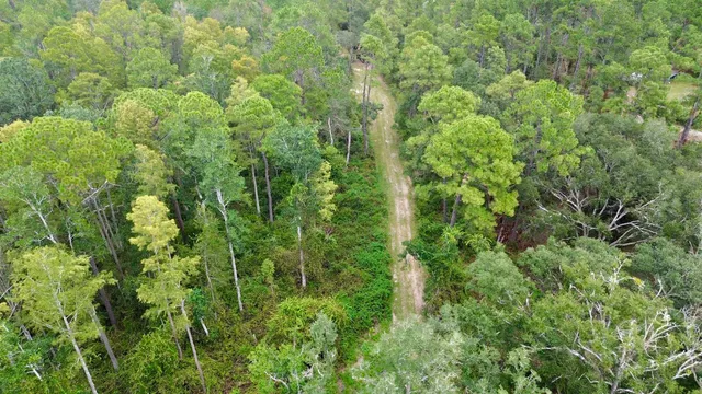 $74,900 | 7440 Alton Wentworth Road, Greenville, FL 32331