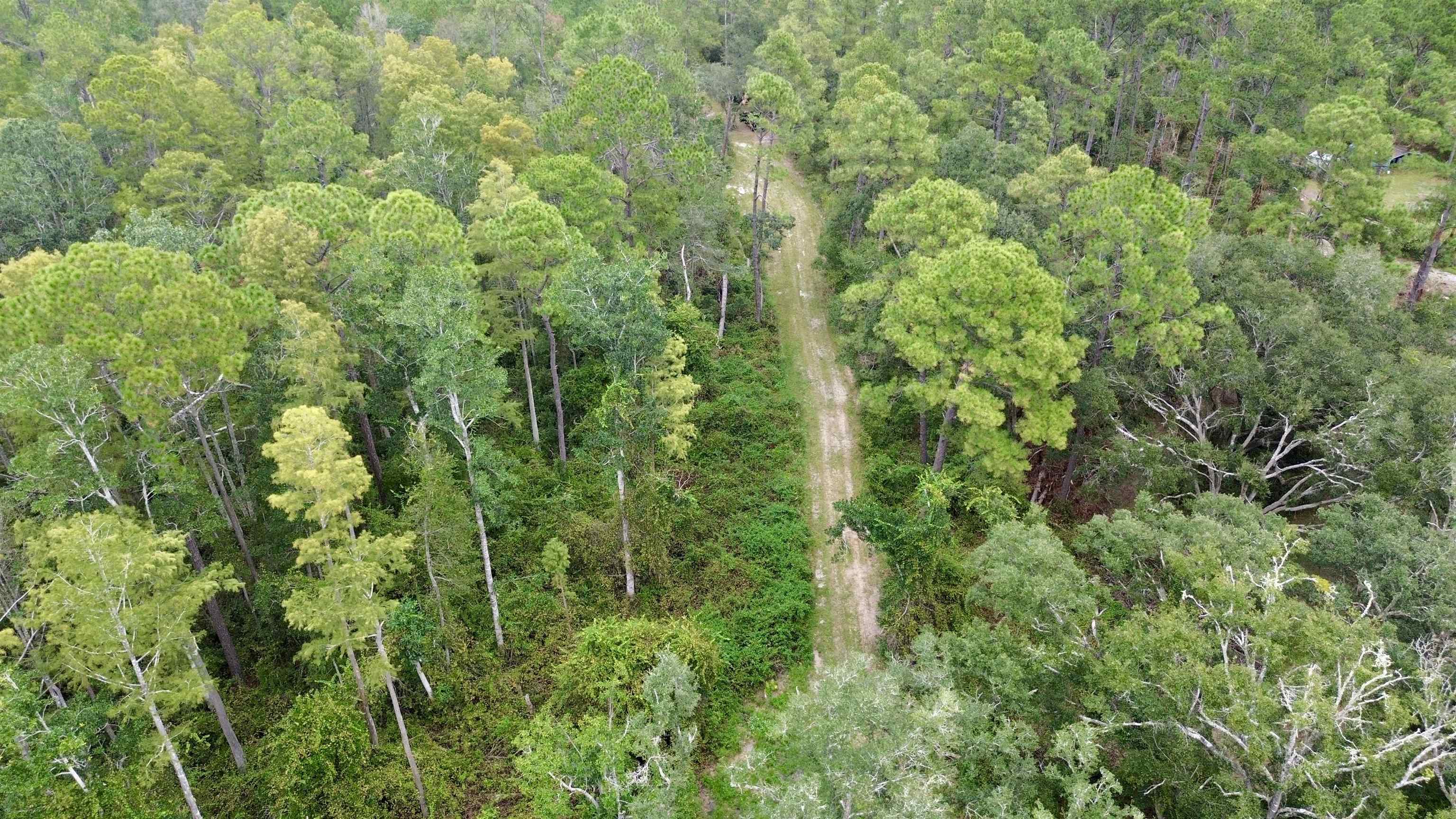 7440 Alton Wentworth Road Greenville, FL 32331 - Photo 11 of 28