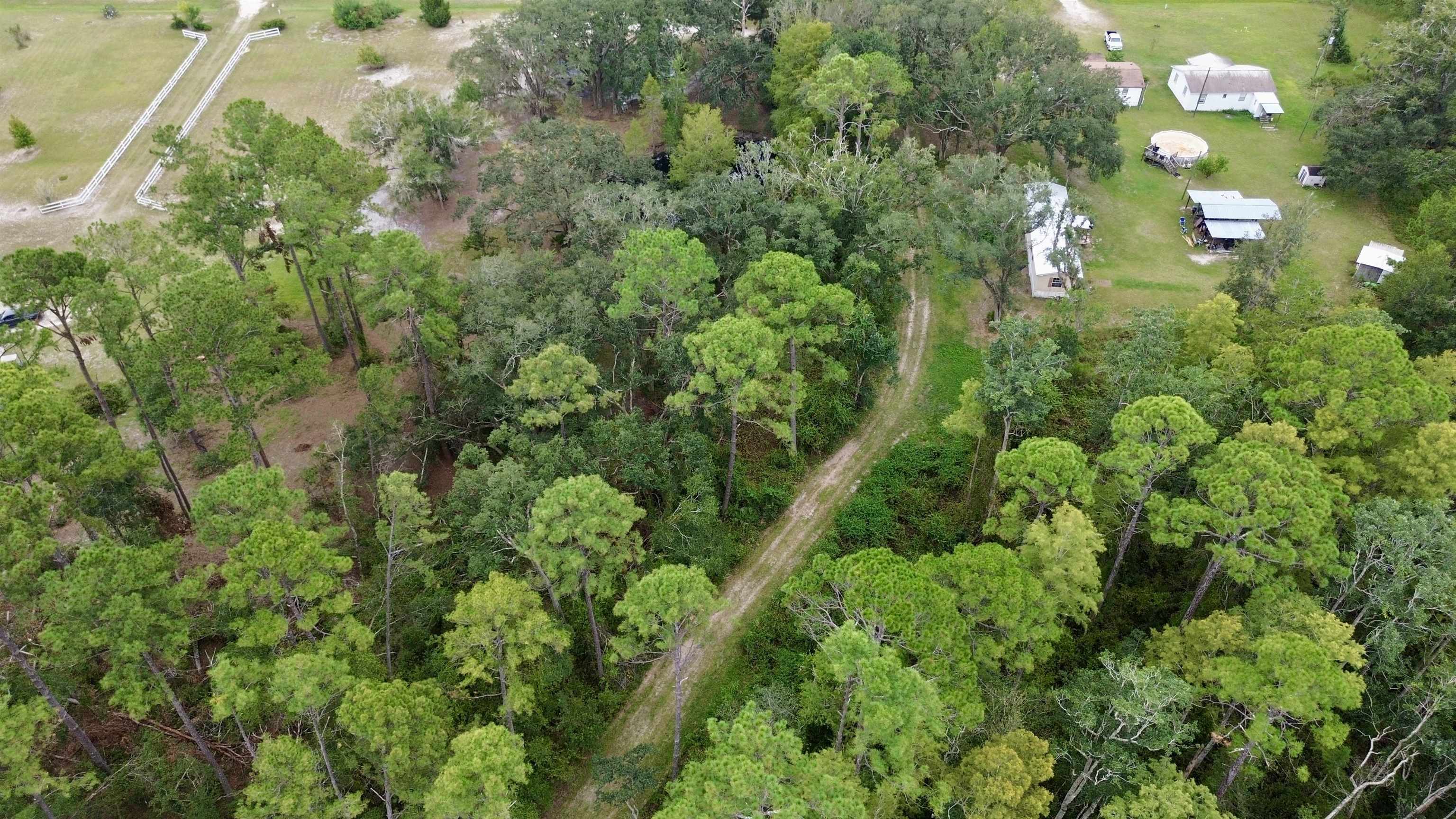 7440 Alton Wentworth Road Greenville, FL 32331 - Photo 14 of 28