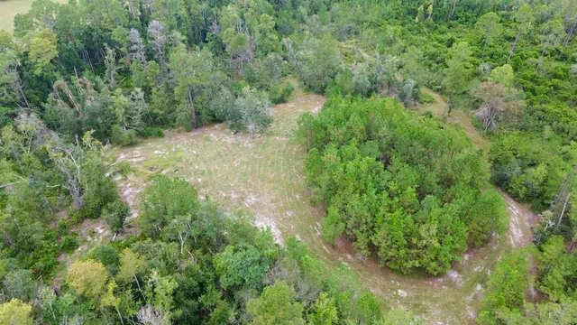 $74,900 | 7440 Alton Wentworth Road, Greenville, FL 32331