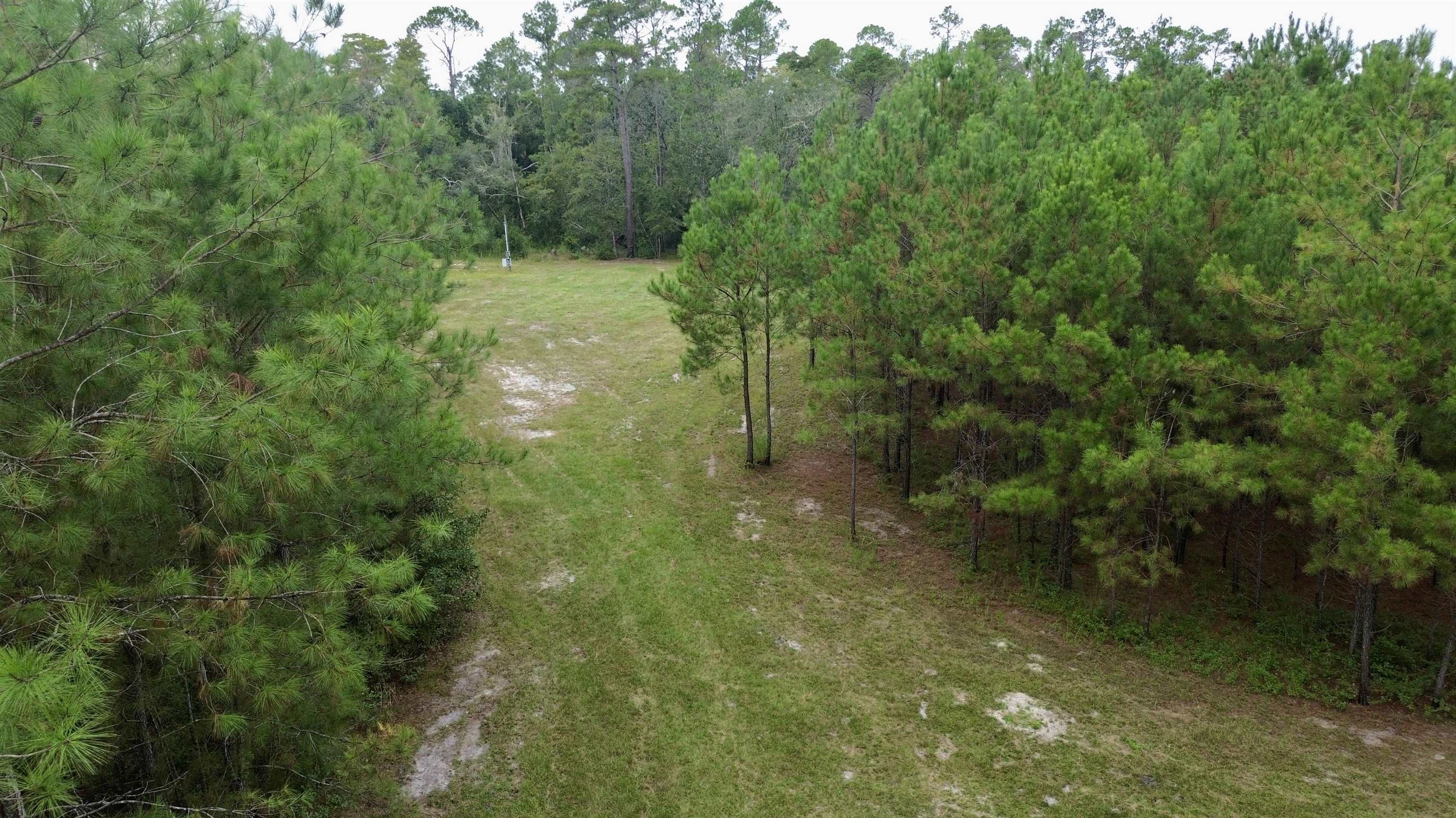 7440 Alton Wentworth Road Greenville, FL 32331 - Photo 16 of 28