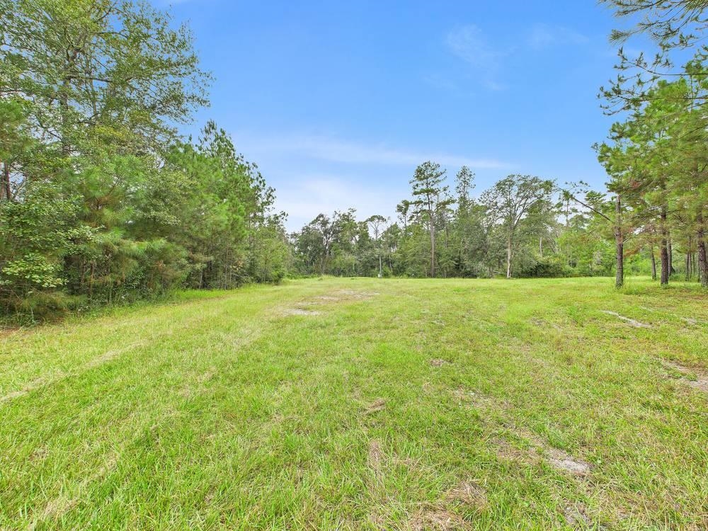 7440 Alton Wentworth Road Greenville, FL 32331 - Photo 17 of 28