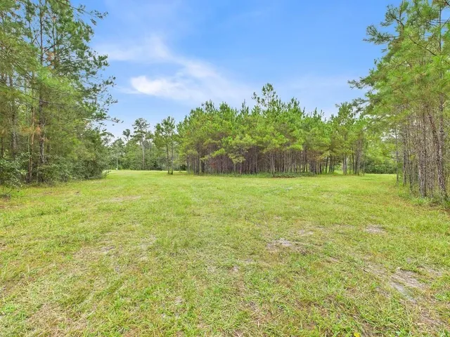 $74,900 | 7440 Alton Wentworth Road, Greenville, FL 32331