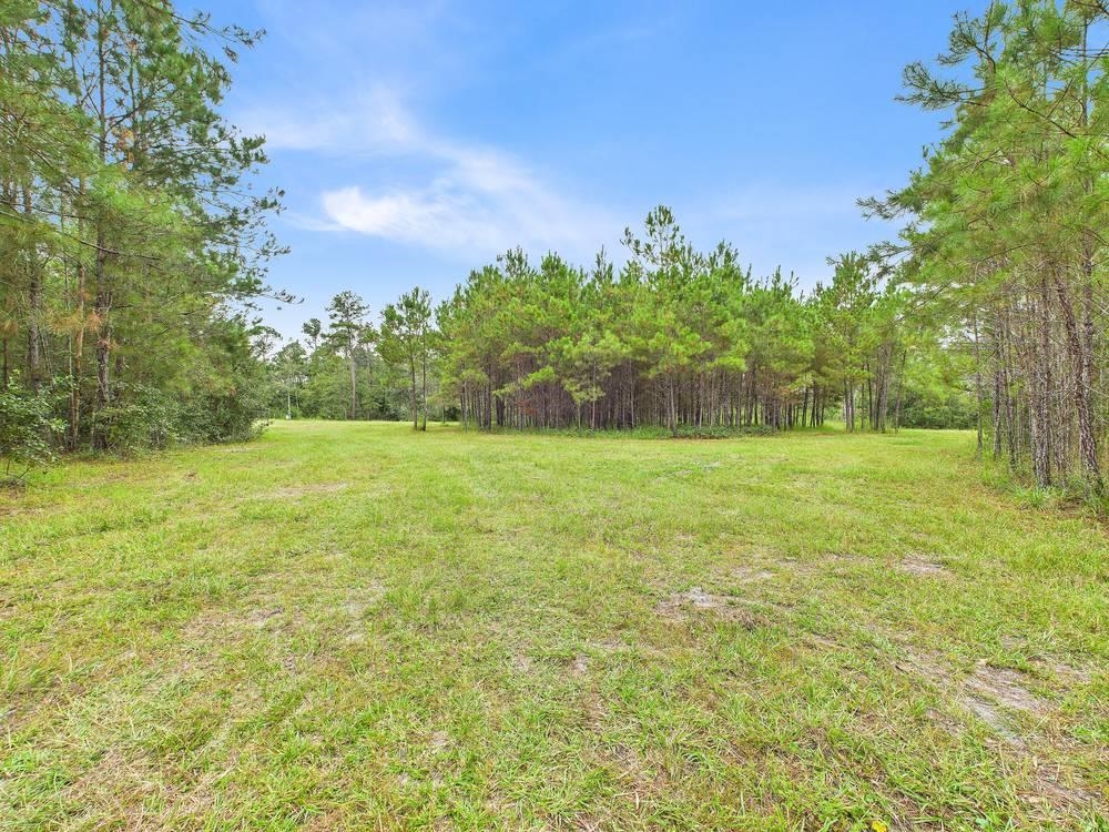 7440 Alton Wentworth Road Greenville, FL 32331 - Photo 17 of 28