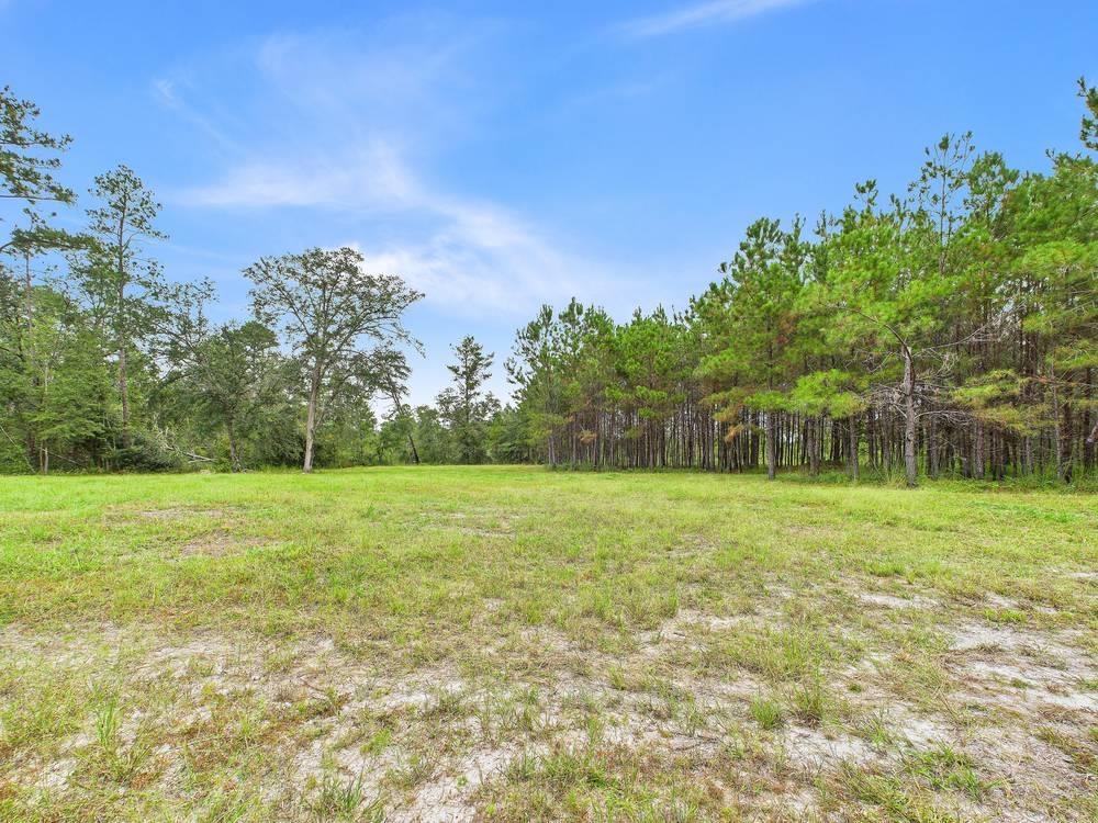 7440 Alton Wentworth Road Greenville, FL 32331 - Photo 18 of 28