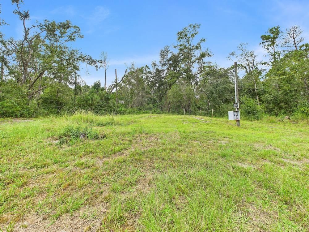 7440 Alton Wentworth Road Greenville, FL 32331 - Photo 20 of 28