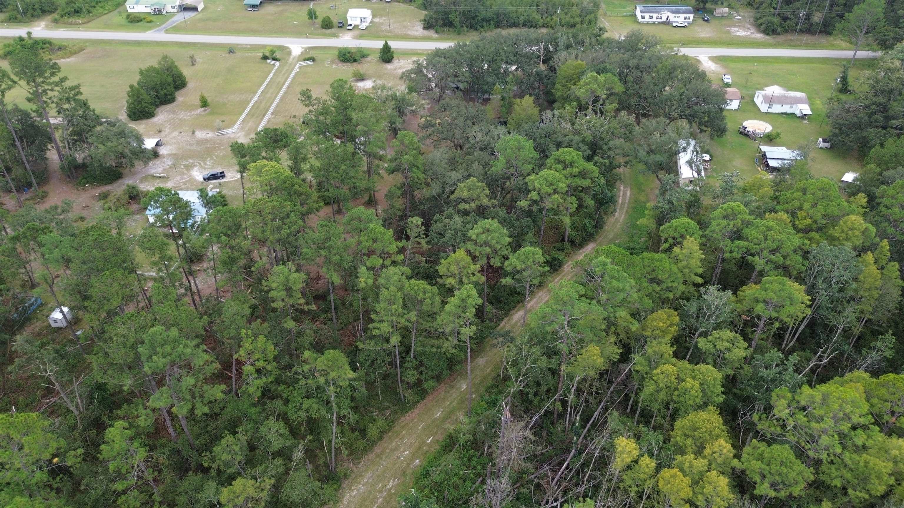 7440 Alton Wentworth Road Greenville, FL 32331 - Photo 2 of 28