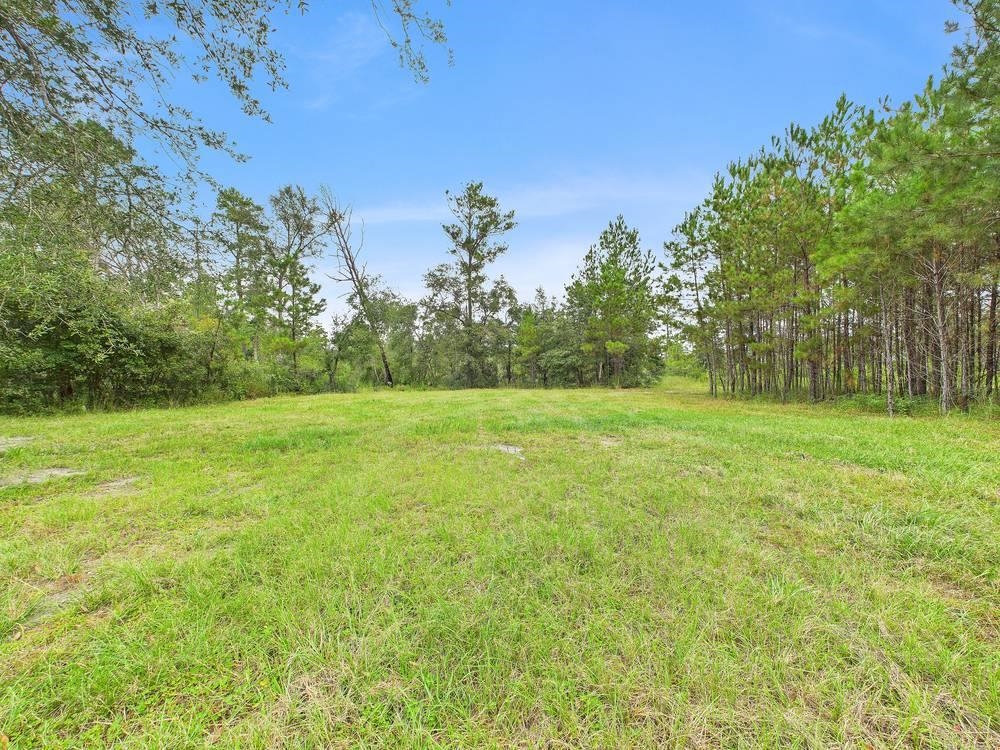 7440 Alton Wentworth Road Greenville, FL 32331 - Photo 22 of 28