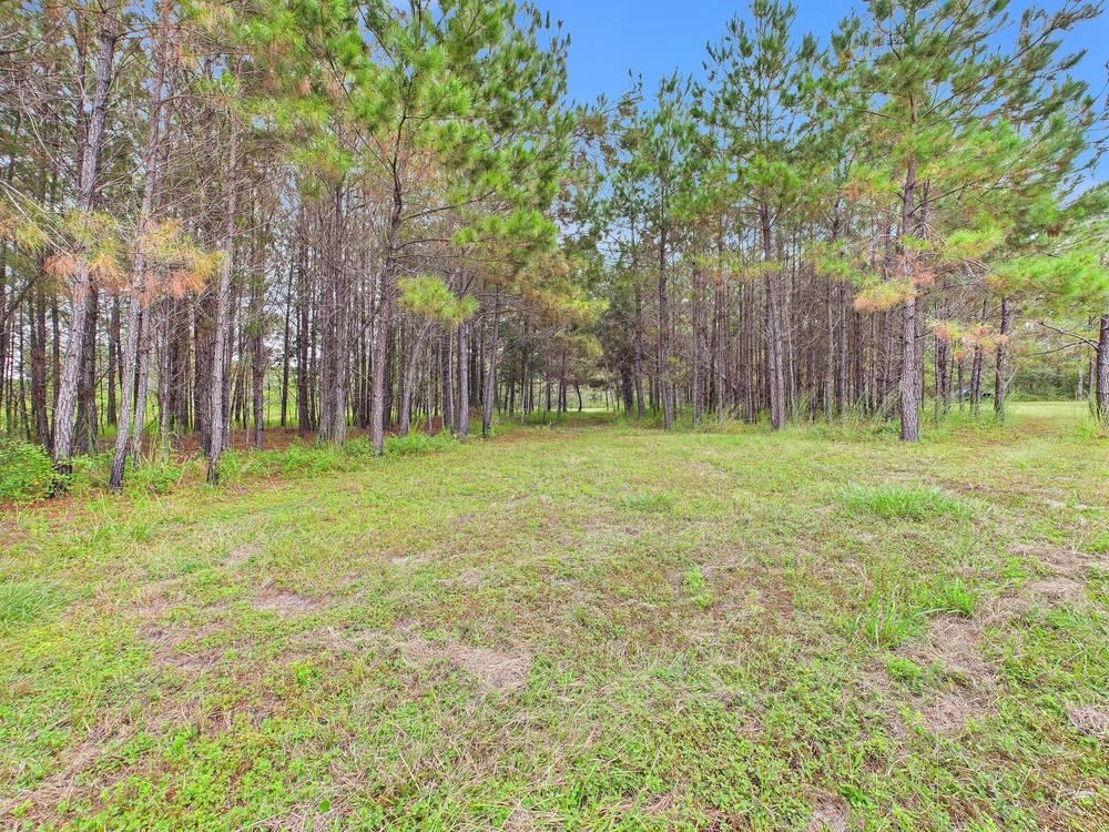 7440 Alton Wentworth Road Greenville, FL 32331 - Photo 22 of 28