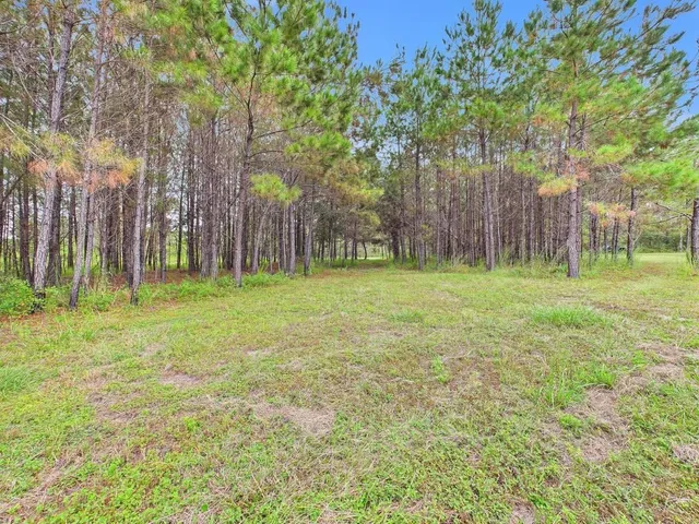 $74,900 | 7440 Alton Wentworth Road, Greenville, FL 32331