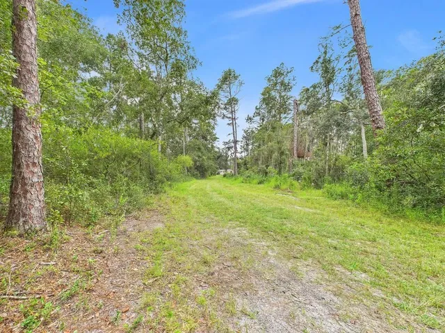 $74,900 | 7440 Alton Wentworth Road, Greenville, FL 32331