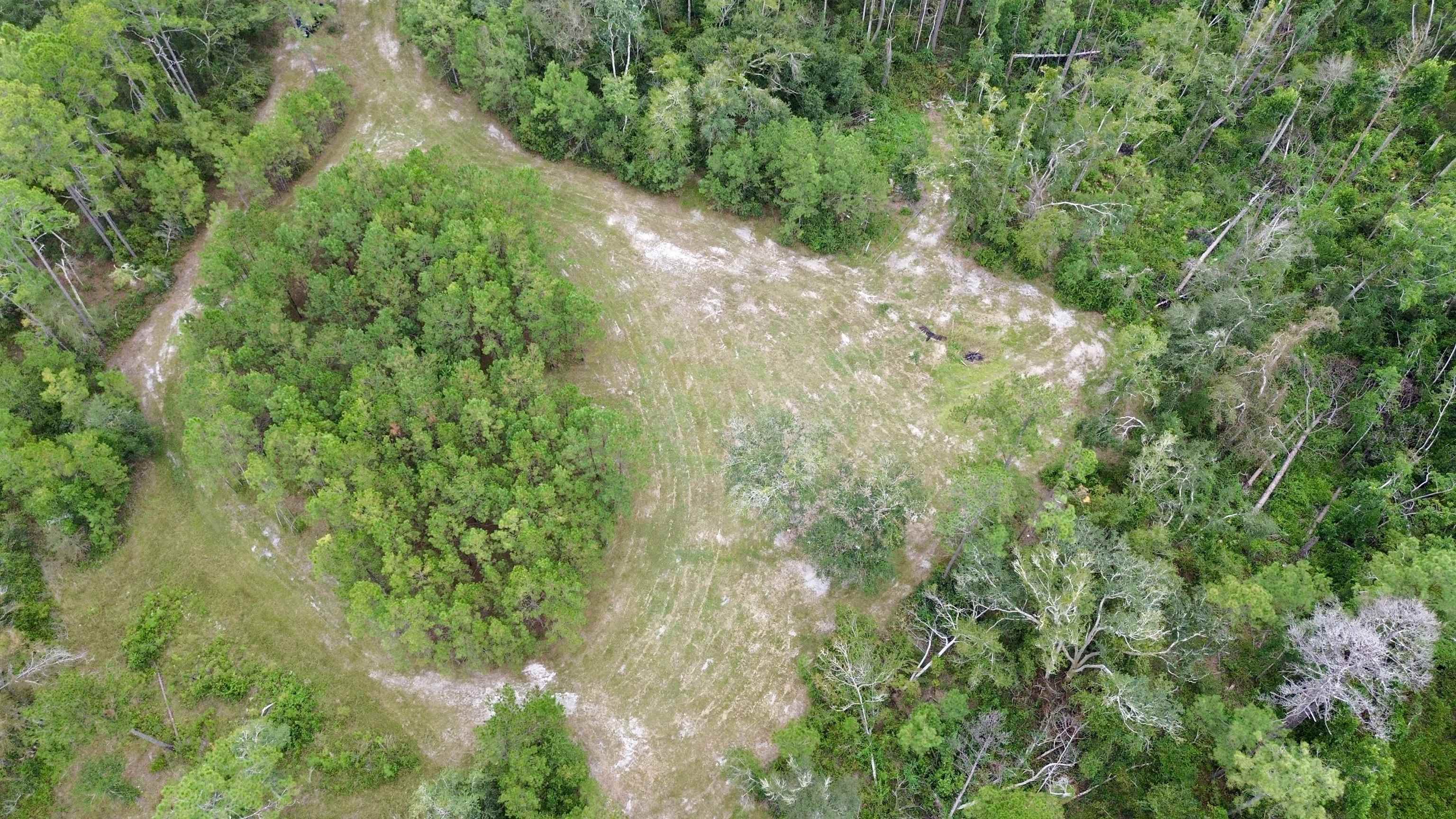 7440 Alton Wentworth Road Greenville, FL 32331 - Photo 26 of 28