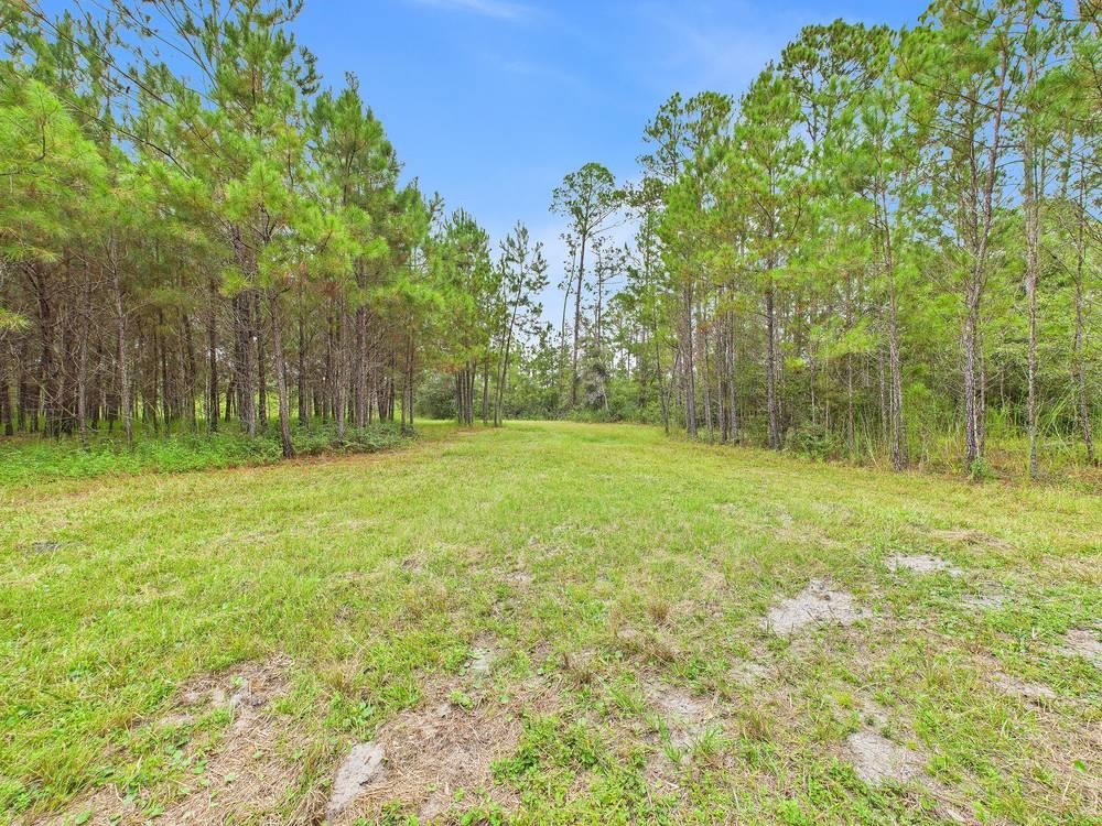 7440 Alton Wentworth Road Greenville, FL 32331 - Photo 27 of 28