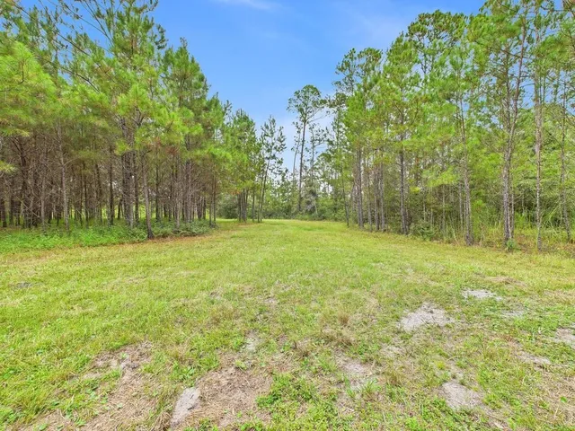 $74,900 | 7440 Alton Wentworth Road, Greenville, FL 32331