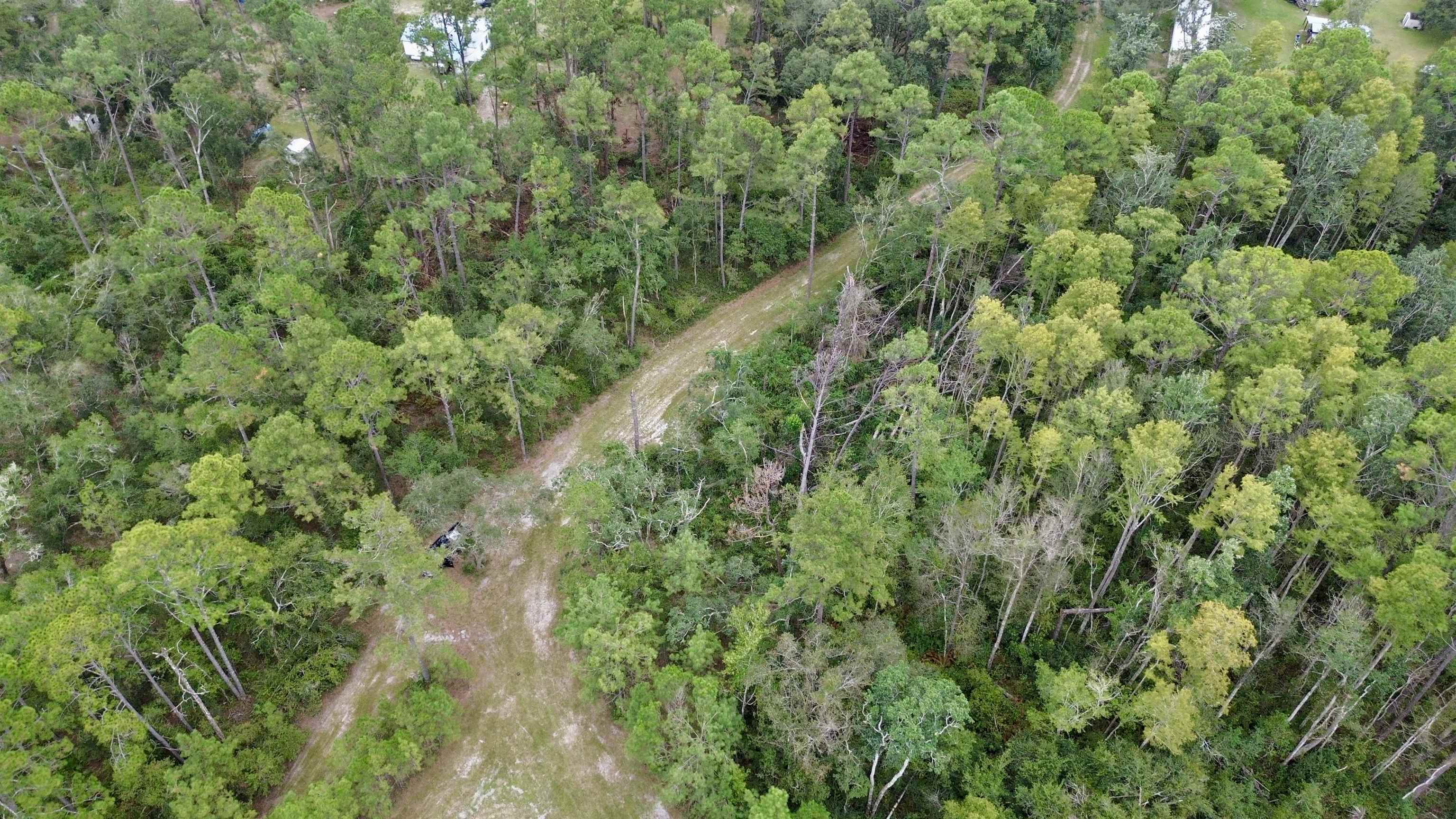 7440 Alton Wentworth Road Greenville, FL 32331 - Photo 3 of 28