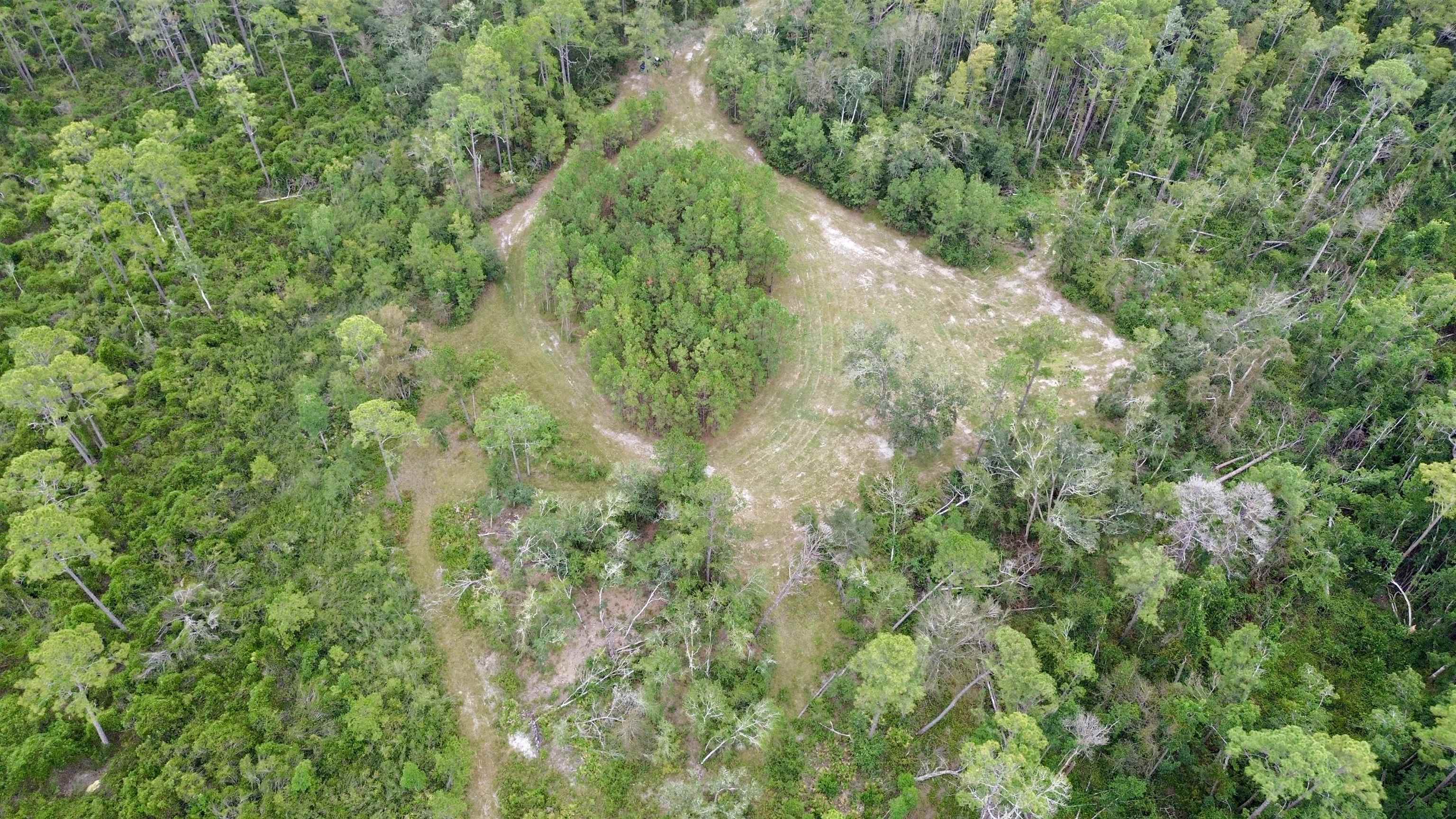 7440 Alton Wentworth Road Greenville, FL 32331 - Photo 5 of 28