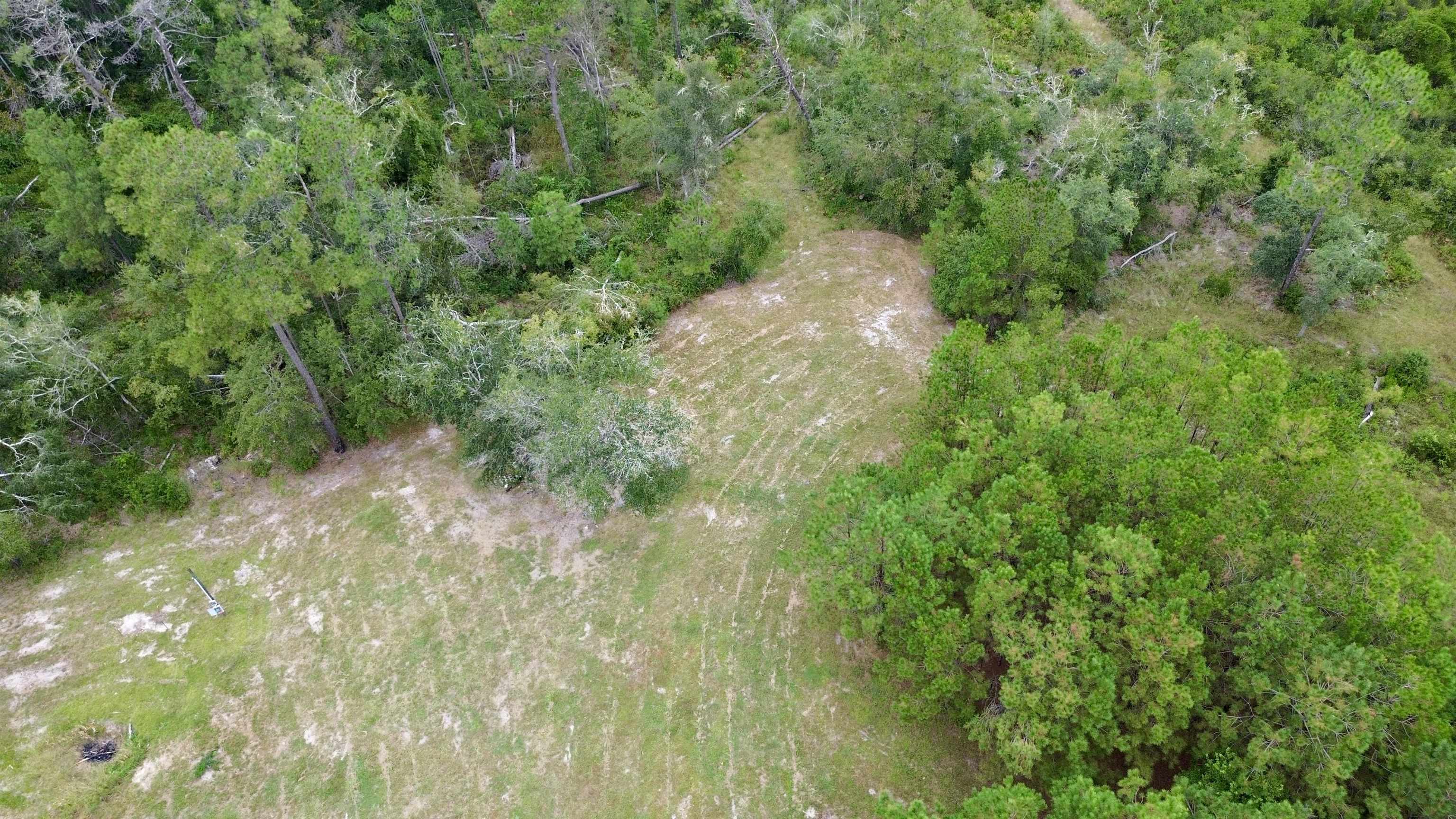 7440 Alton Wentworth Road Greenville, FL 32331 - Photo 6 of 28