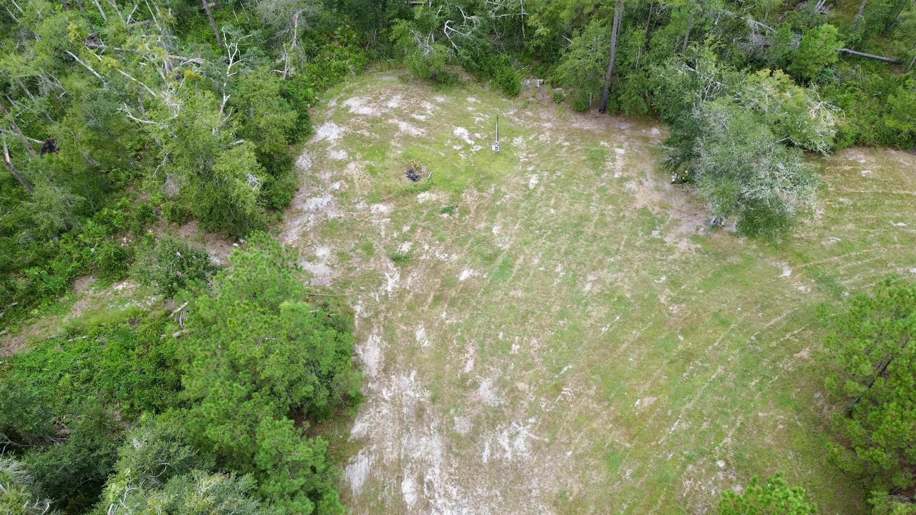 7440 Alton Wentworth Road Greenville, FL 32331 - Photo 7 of 28