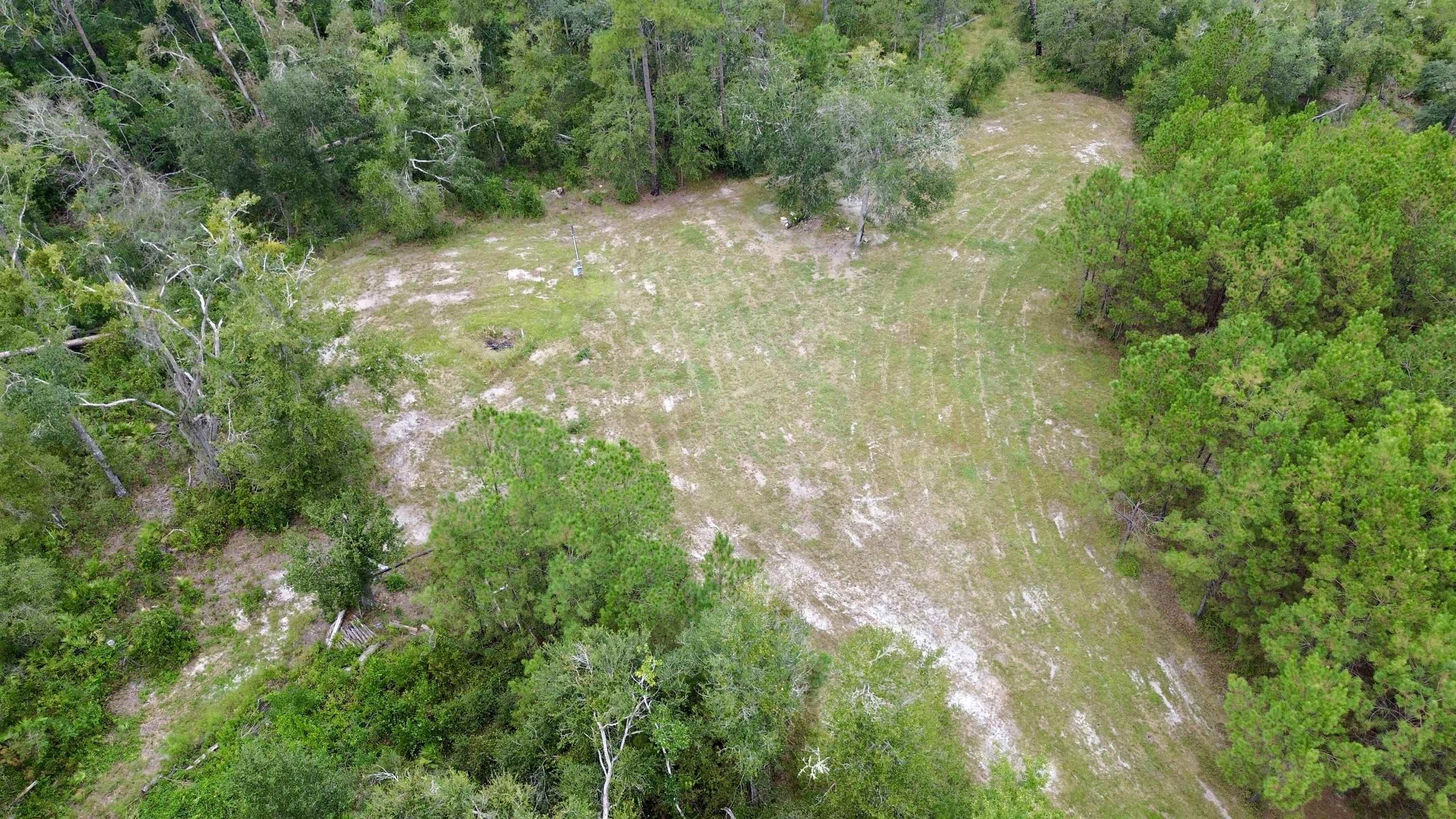 7440 Alton Wentworth Road Greenville, FL 32331 - Photo 8 of 28