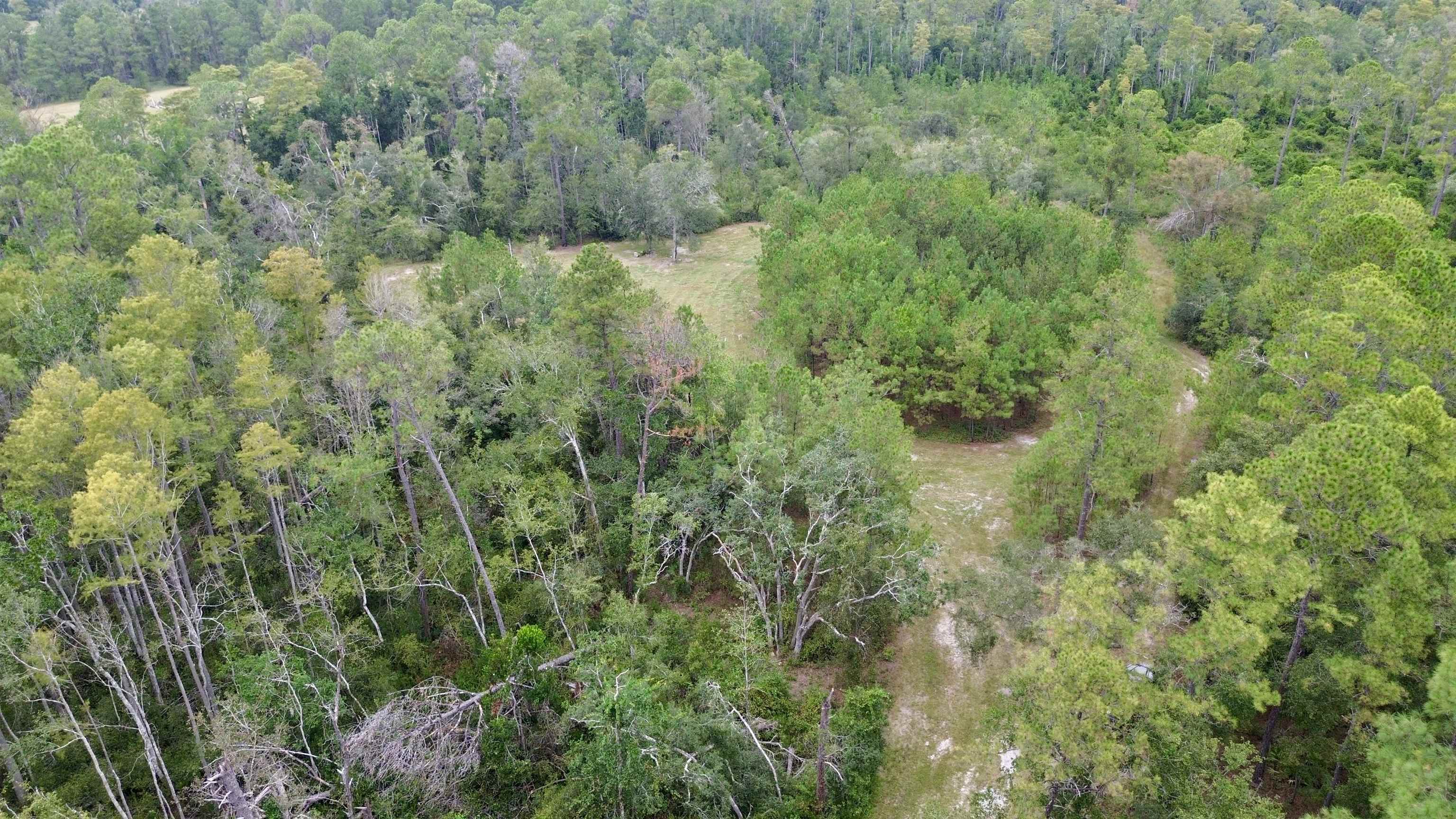 7440 Alton Wentworth Road Greenville, FL 32331 - Photo 9 of 28