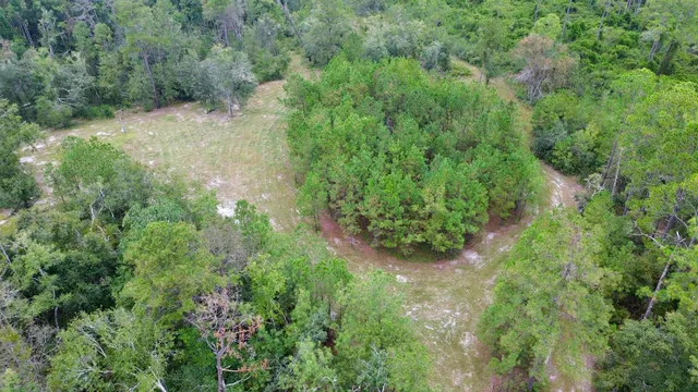 $74,900 | 7440 Alton Wentworth Road, Greenville, FL 32331