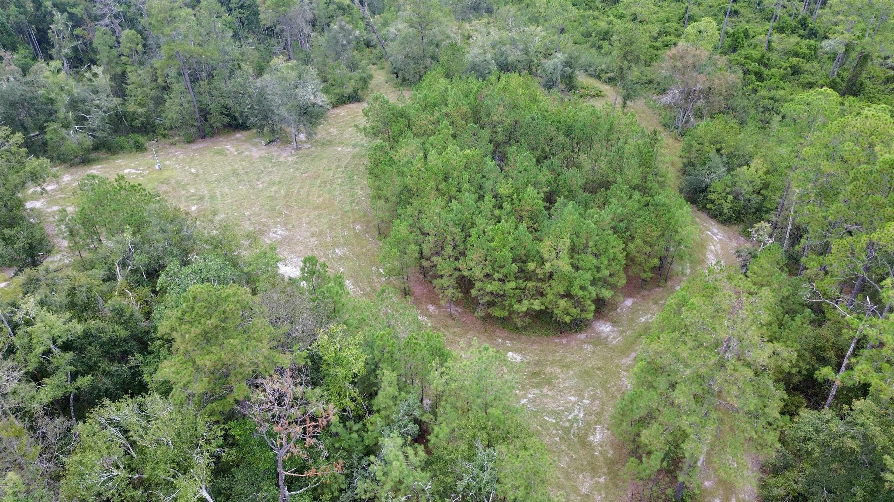 7440 Alton Wentworth Road Greenville, FL 32331 - Photo 9 of 28