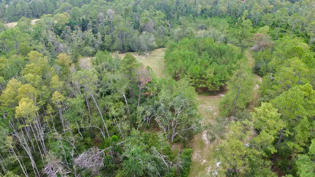 $74,900 | 7440 Alton Wentworth Road, Greenville, FL 32331