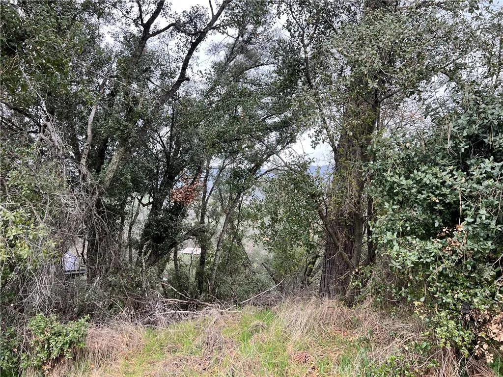 7166 Butte Nice, CA 95464 - Photo 4 of 6